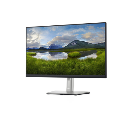 Monitor Dell P2422H LCD 23.8", Full HD, HDMI, Negro/Plata