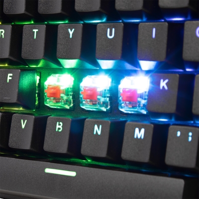 Teclado Alambrico Tipo Mecanico Tkl Switch Rojo Full RGB, Estructura de Abs