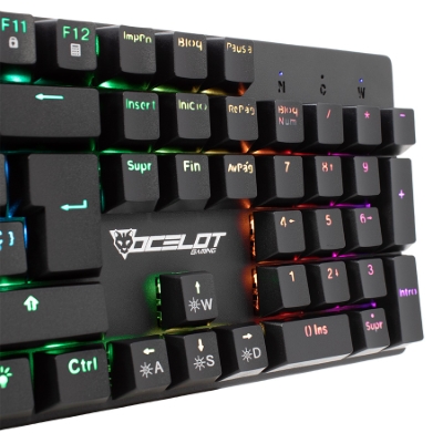 Teclado Alambrico Tipo Mecanico Tkl Switch Rojo Full RGB, Estructura de Abs
