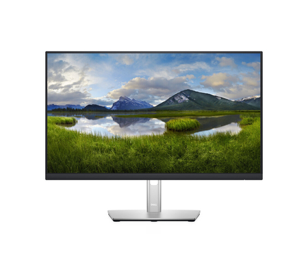 Monitor Dell P2422H LCD 23.8", Full HD, HDMI, Negro/Plata