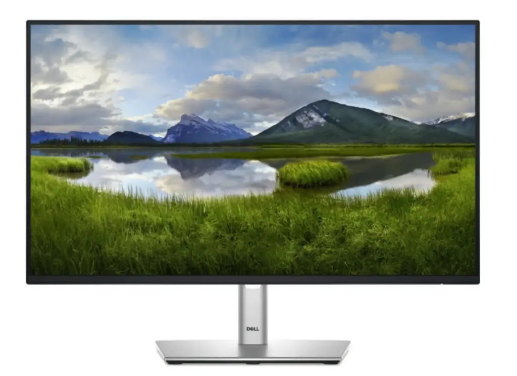 Monitor Dell P2425H LCD 24", 1920x1080 Full HD, 100Hz, HDMI/DisplayPort, Negro